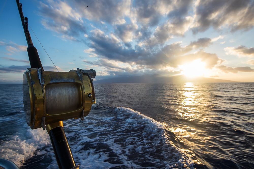 Deep sea fishing rod with the sunsetting in the back